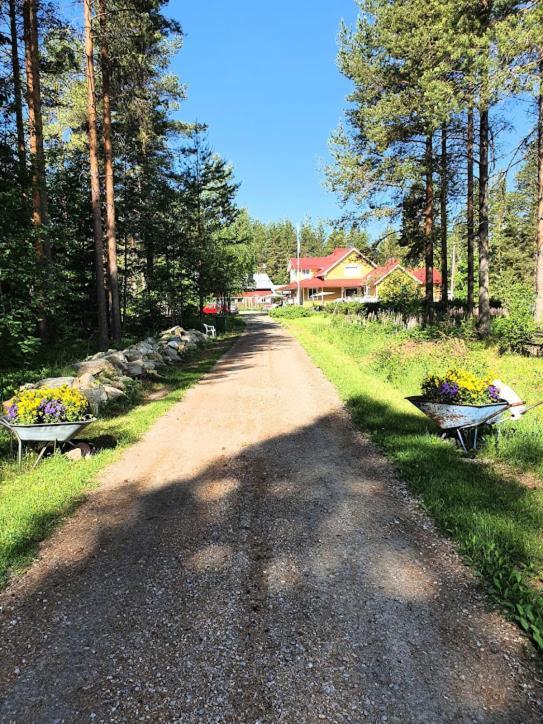 Appartement Toivonniemen Kotimajoitus à Paltaniemi Extérieur photo